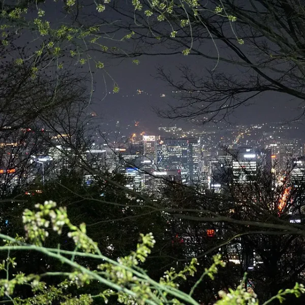 스테이 가을포레스트 마사지 대표 안내 이미지