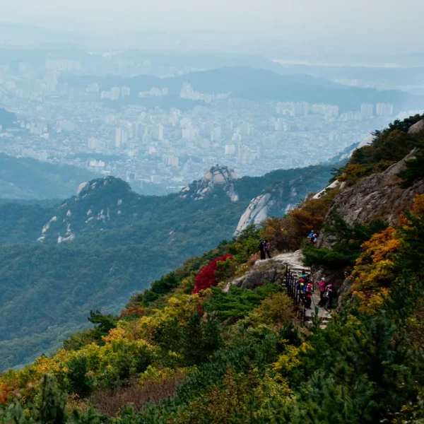 라운지 블루밍릴렉스 마사지 대표 안내 이미지